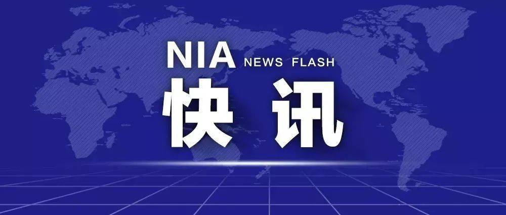 admin 第10页