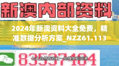 新澳2025精准正版資料与2025新澳精准正版免費資料全面释义、解释与落实